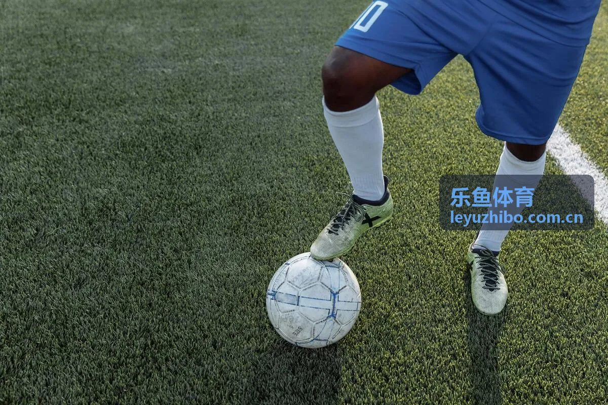 乐鱼体育常见问题内容图